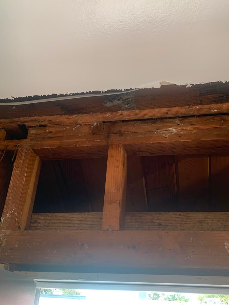 Repairing Laundry Room Water Damage and Rotten Framing Caused by a Roof Leak in Azusa
