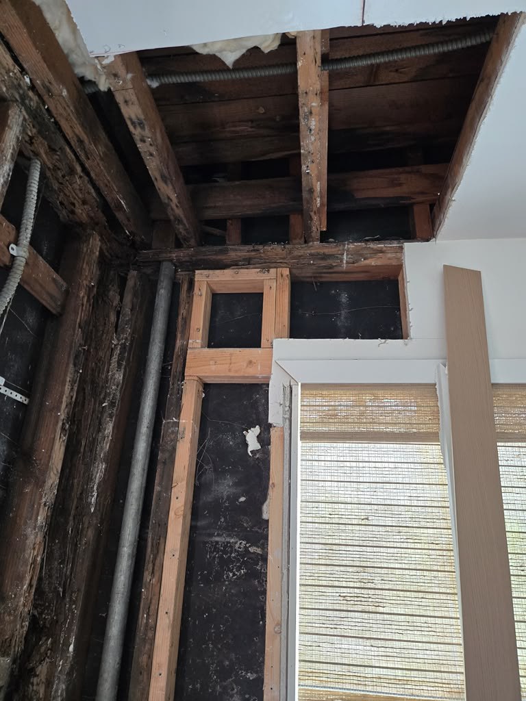 Repairing Laundry Room Water Damage and Rotten Framing Caused by a Roof Leak in Azusa