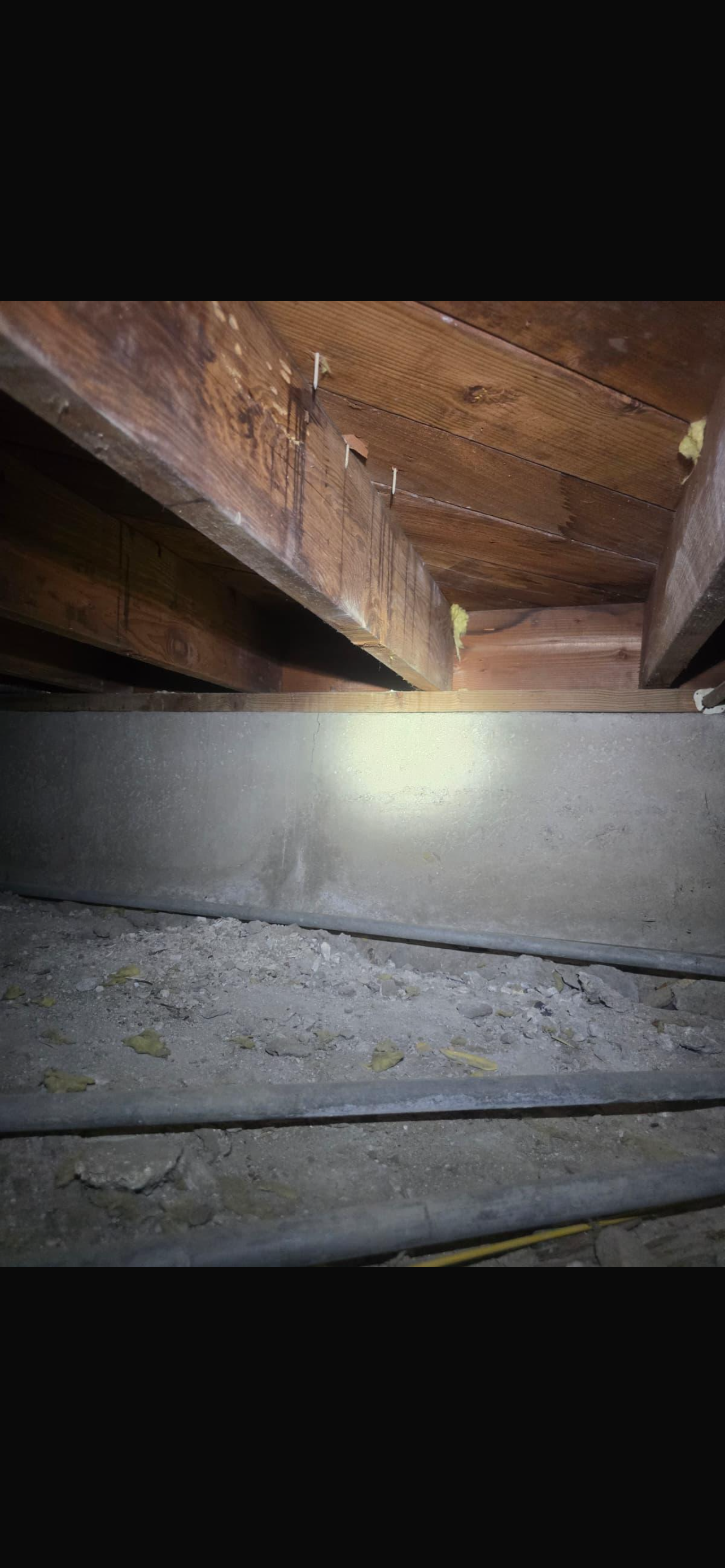 Wooden beams and concrete foundation are visible in a dimly lit crawl space, with dirt and pipes on the ground.
